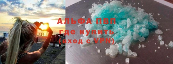 индика Новозыбков