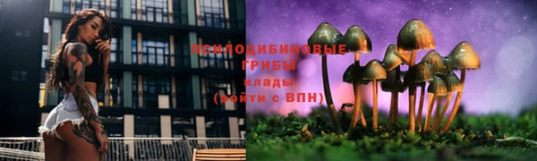 а пвп мука Алзамай