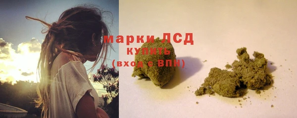 стаф Новодвинск