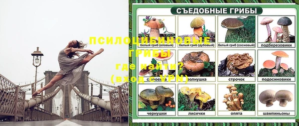 дмт Алексин