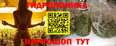 мдпв Апрелевка