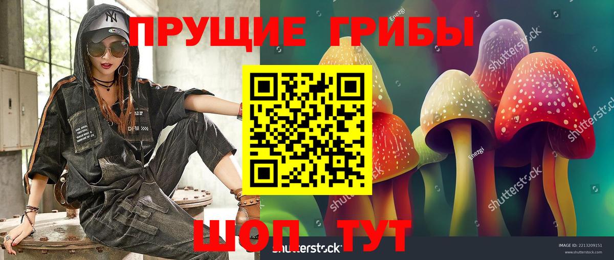 Галлюциногенные грибы Cubensis Сосновоборск