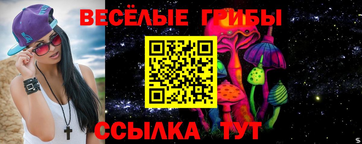 Сосновоборск  Псилоцибиновые грибы MAGIC MUSHROOMS  Вход с VPN 