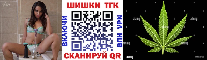 где найти   Сосновоборск  Конопля OG Kush 