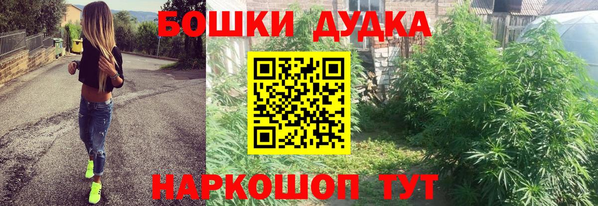 Бошки марихуана LSD WEED  Конопля MAZAR  Вход с VPN  Сосновоборск  Конопля AK-47  Марихуана сатива 